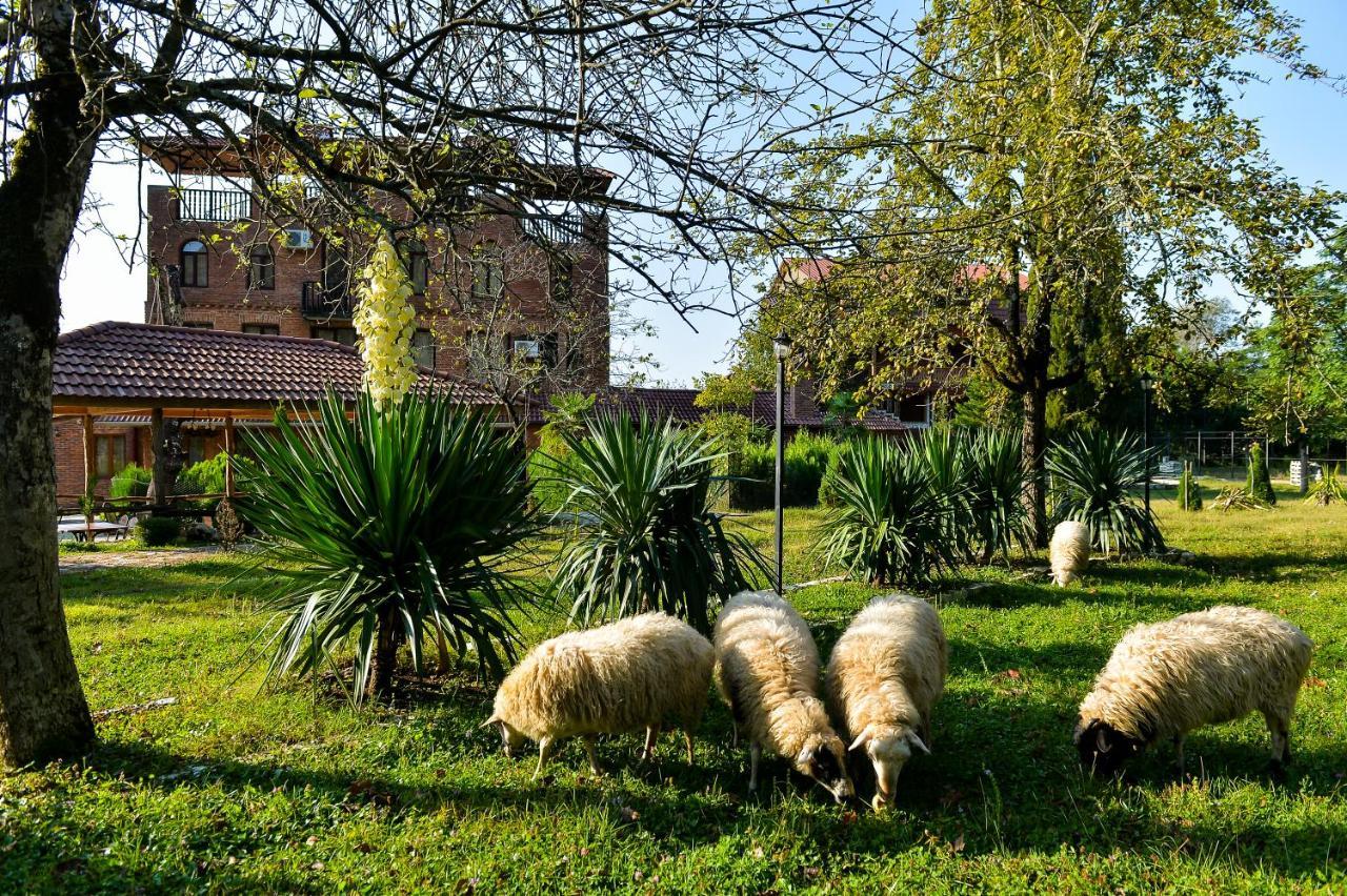 Hotel Chateau Chikovani Gordi Exteriér fotografie