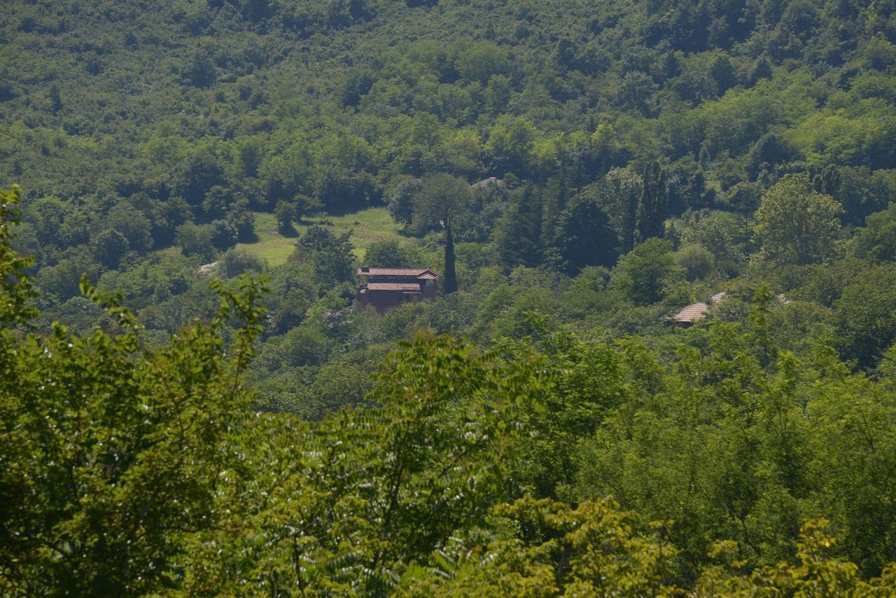 Hotel Chateau Chikovani Gordi Exteriér fotografie